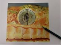 Photorealistic Reptil Auge