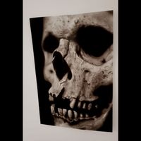 Photorealistic Skull Airbrush