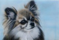 Photorealistic Chihuahua Airbrush